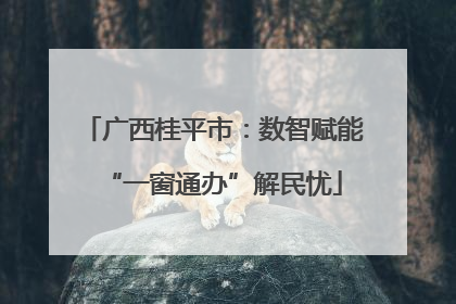 广西桂平市：数智赋能“一窗通办”解民忧