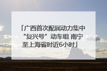 广西首次配属动力集中“复兴号”动车组 南宁至上海省时近6小时