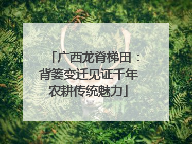 广西龙脊梯田：背篓变迁见证千年农耕传统魅力