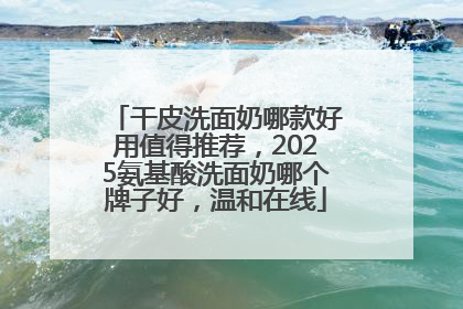 干皮洗面奶哪款好用值得推荐，2025氨基酸洗面奶哪个牌子好，温和在线