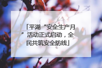 平湖“安全生产月”活动正式启动，全民共筑安全防线