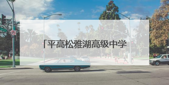 平高松雅湖高级中学：AI赋能，让每个孩子都是“重点学生”