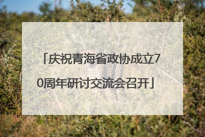 庆祝青海省政协成立70周年研讨交流会召开