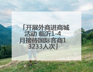 开展外商进商城活动 临沂1-4月接待国际客商13233人次