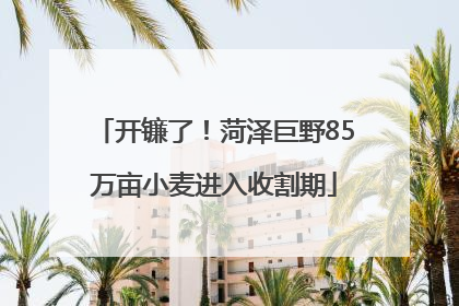 开镰了！菏泽巨野85万亩小麦进入收割期