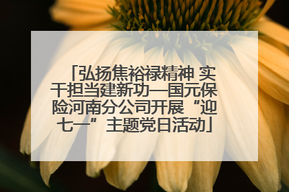 弘扬焦裕禄精神 实干担当建新功—国元保险河南分公司开展“迎七一”主题党日活动