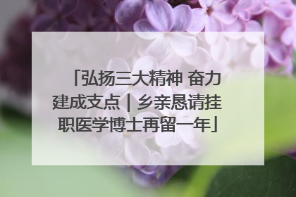 弘扬三大精神 奋力建成支点｜乡亲恳请挂职医学博士再留一年