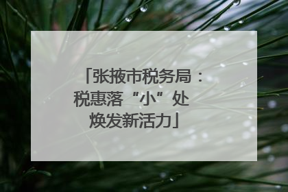 张掖市税务局：税惠落“小”处 焕发新活力