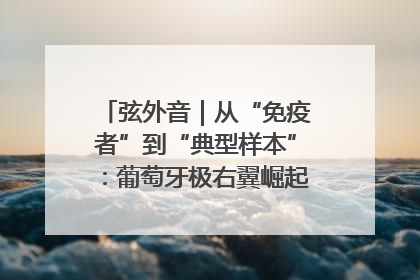 弦外音｜从“免疫者”到“典型样本”：葡萄牙极右翼崛起背后的欧洲困局