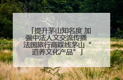 提升茅山知名度 加强中法人文交流传播 法国旅行商踩线茅山“道养文化产品”