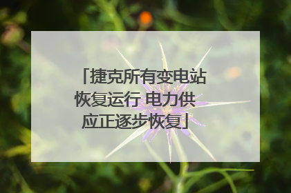 捷克所有变电站恢复运行 电力供应正逐步恢复
