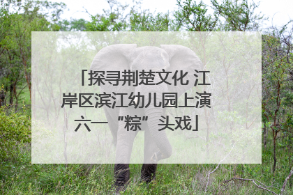 探寻荆楚文化 江岸区滨江幼儿园上演六一“粽”头戏