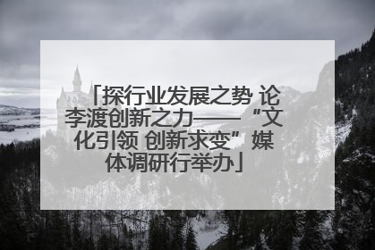探行业发展之势 论李渡创新之力——“文化引领 创新求变”媒体调研行举办