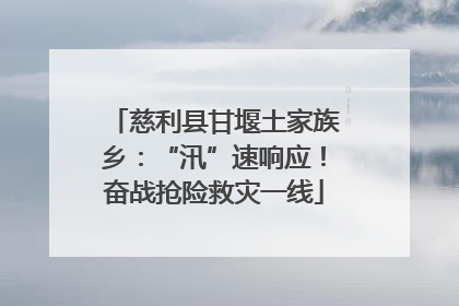 慈利县甘堰土家族乡：“汛”速响应！奋战抢险救灾一线