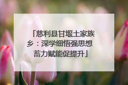 慈利县甘堰土家族乡：深学细悟强思想 蓄力赋能促提升