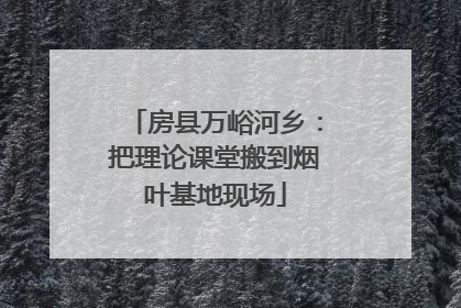 房县万峪河乡：把理论课堂搬到烟叶基地现场