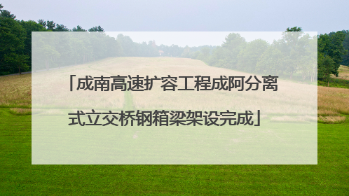成南高速扩容工程成阿分离式立交桥钢箱梁架设完成