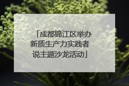 成都锦江区举办新质生产力实践者说主题沙龙活动