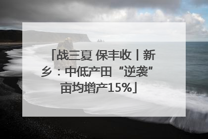 战三夏 保丰收丨新乡：中低产田“逆袭” 亩均增产15%
