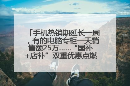 手机热销期延长一周，有的电脑专柜一天销售额25万……“国补+店补”双重优惠点燃德州“考后经济”