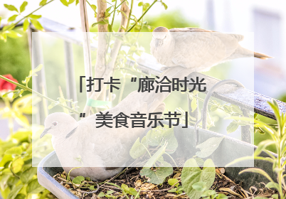 打卡“廊洽时光”美食音乐节