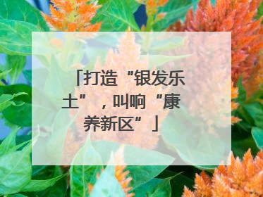 打造“银发乐土”，叫响“康养新区”