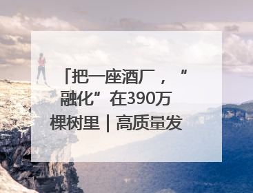 把一座酒厂，“融化”在390万棵树里｜高质量发展看川酒｜舍得酒｜舍得酒业｜舍得老酒｜沱牌酒