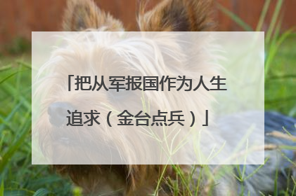 把从军报国作为人生追求（金台点兵）