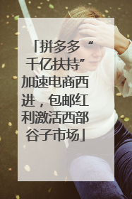 拼多多“千亿扶持”加速电商西进，包邮红利激活西部谷子市场