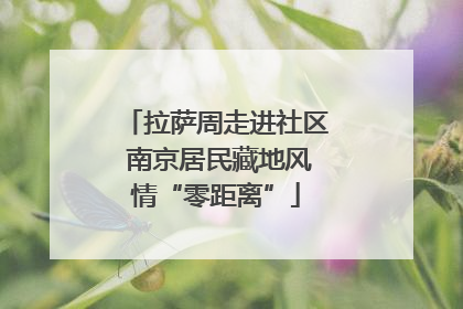拉萨周走进社区 南京居民藏地风情“零距离”