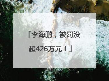 李海鹏，被罚没超426万元！