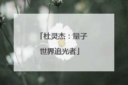杜灵杰：量子世界追光者