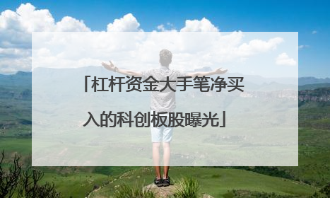 杠杆资金大手笔净买入的科创板股曝光