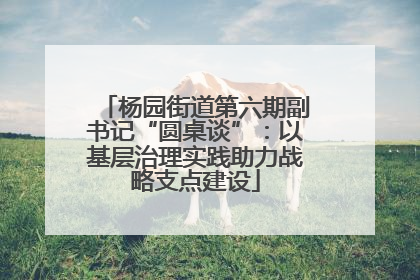 杨园街道第六期副书记“圆桌谈”：以基层治理实践助力战略支点建设