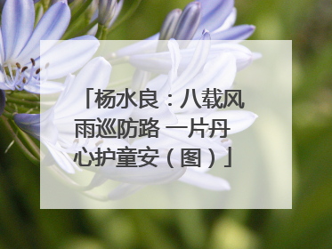 杨水良：八载风雨巡防路 一片丹心护童安（图）