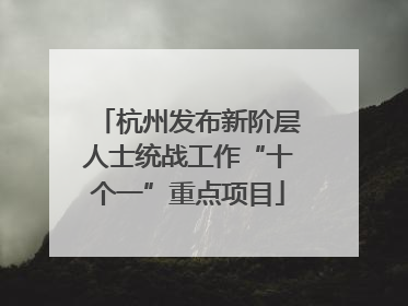 杭州发布新阶层人士统战工作“十个一”重点项目