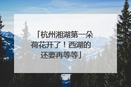 杭州湘湖第一朵荷花开了！西湖的还要再等等