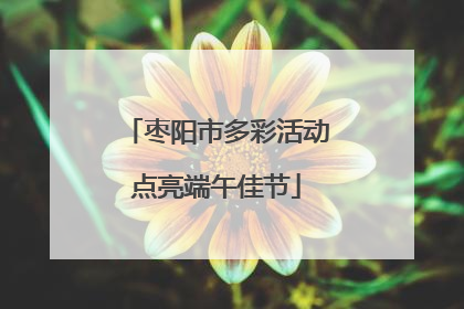 枣阳市多彩活动点亮端午佳节