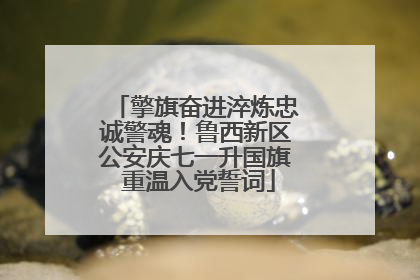 擎旗奋进淬炼忠诚警魂！鲁西新区公安庆七一升国旗 重温入党誓词