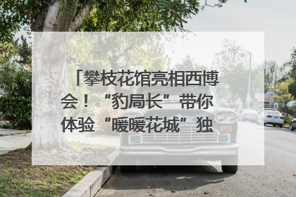 攀枝花馆亮相西博会！“豹局长”带你体验“暖暖花城”独特魅力｜西博视界