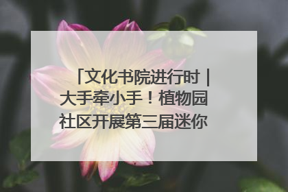 文化书院进行时｜大手牵小手！植物园社区开展第三届迷你马拉松活动