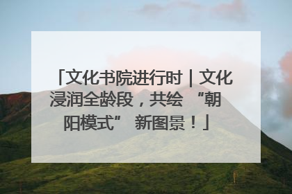 文化书院进行时｜文化浸润全龄段，共绘 “朝阳模式” 新图景！