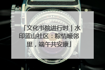 文化书院进行时｜水印蓝山社区：粽情暖邻里，端午共安康