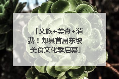 文旅+美食+消费！郏县首届东坡美食文化季启幕