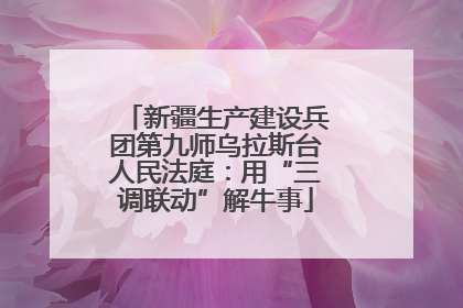 新疆生产建设兵团第九师乌拉斯台人民法庭：用“三调联动”解牛事