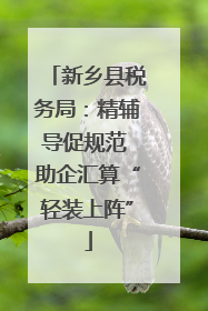 新乡县税务局：精辅导促规范 助企汇算“轻装上阵”