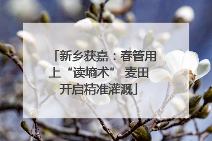 新乡获嘉：春管用上“读墒术” 麦田开启精准灌溉