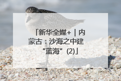 新华全媒+｜内蒙古：沙海之中建“蓝海”(2)