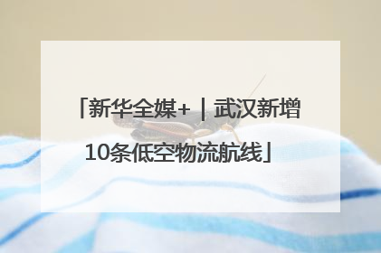 新华全媒+｜武汉新增10条低空物流航线