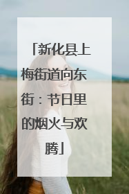 新化县上梅街道向东街：节日里的烟火与欢腾